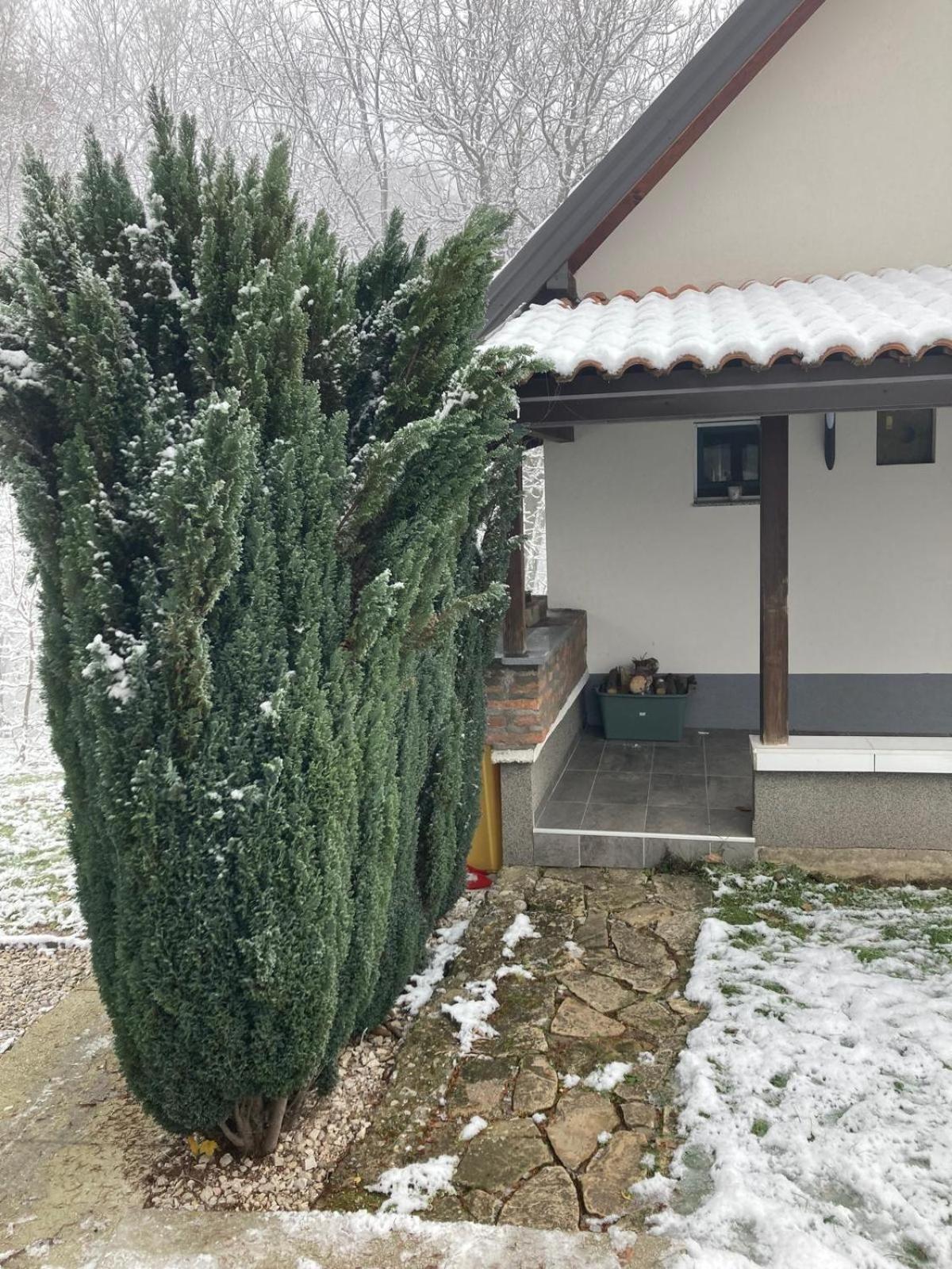 Holiday Home Tunnel Ravne Visoko Bagian luar foto